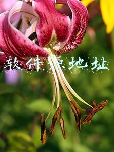 软件源地址