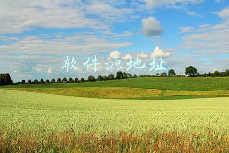 软件源地址