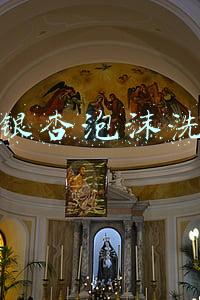 婵真银杏泡沫洗面奶