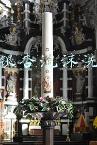 婵真银杏泡沫洗面奶
