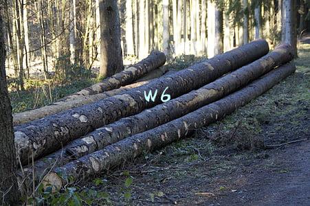 w6