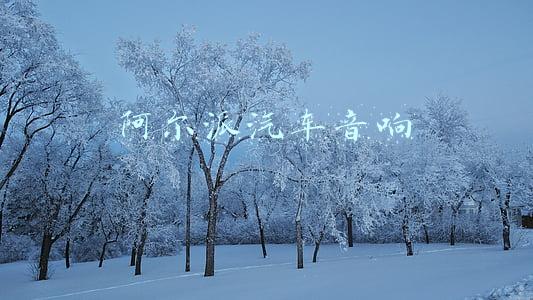 阿尔派汽车音响