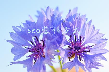 seo营销方式