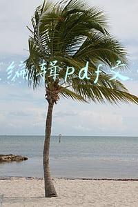 如何编辑pdf文件内容