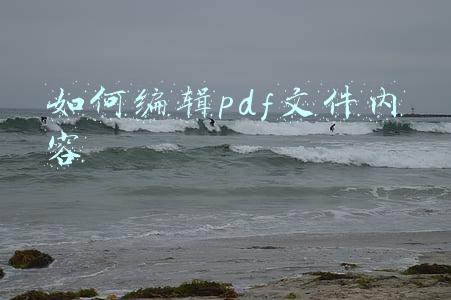 如何编辑pdf文件内容