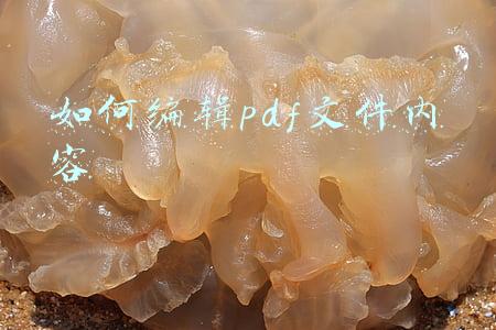 如何编辑pdf文件内容免费(PDF怎么编辑修改内容的免费方法)