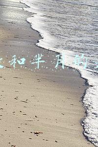 嬴政和芈月的关系