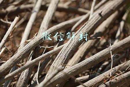 微信解封客服人工服务(微信突然无法登录，需要点击链接“解冻”？当心)
