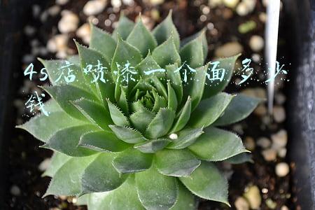 4s店喷漆一个面多少钱