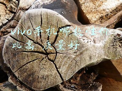 vivo手机哪款性价比高 质量好