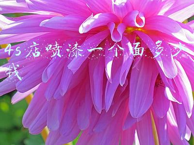 4s店客服面访流程(4s店客服面访流程ppt图)