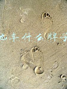 山地车什么牌子好