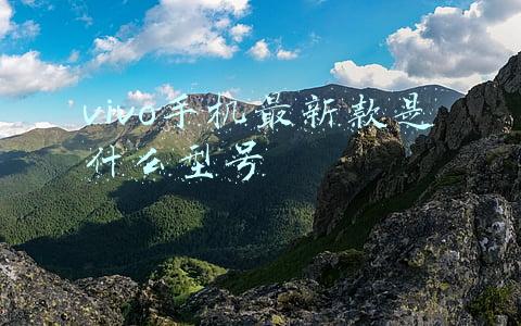 vivo手机最新款是什么型号多少钱(vivo V23e 曝光：天玑 810 SoC、4050mAh 电池，约 2200 元起)