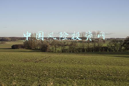 中国风险投资集团(界面新闻2021中国顶级风险投资机构揭晓，红杉中国、深创投、IDG资本位居前三)