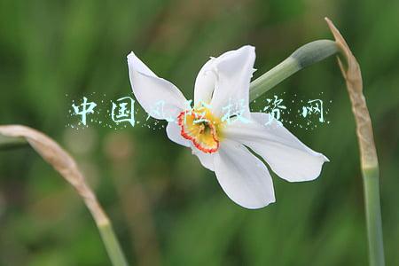 中国风险投资协会(2021年美国风投交易总额达近3300亿美元 创历史新高)