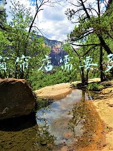 开窗帘店需要了解什么(开窗帘店的必备常识)