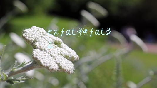 exfat和fat32