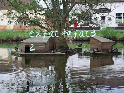exfat和fat32