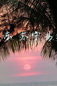 京东 苏宁易购