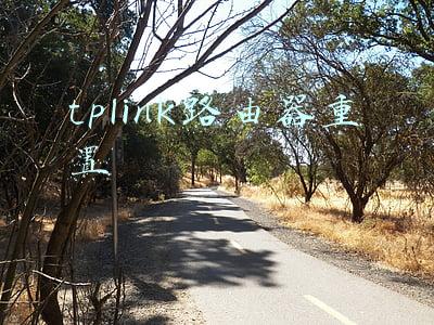 tplink路由器重置