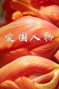 爱国人物有哪些(五位爱国态度最刚的年轻艺人：身披国旗，外网发文：我是中国人)