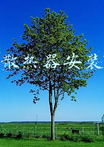 散热器安装