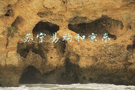 苏宁易购和京东