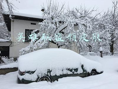 英雄联盟领皮肤