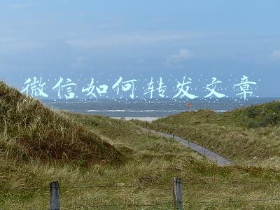 微信怎么写文章,可以转发的那种(为亲人筹款转发朋友圈怎样说？专业人士教你如何让他人更愿意捐款)