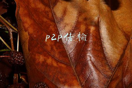 p2p传输