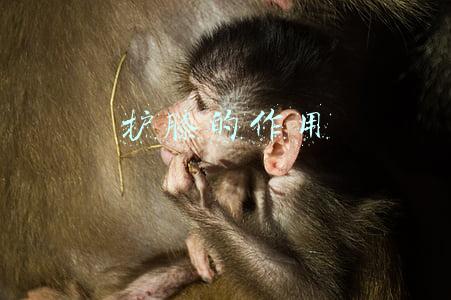 护膝的作用