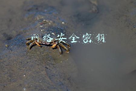 网络安全密钥