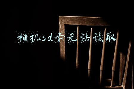 相机sd卡无法读取怎么修复(相机sd卡缺少的照片怎么恢复？)