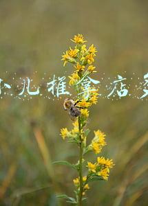 开个小儿推拿店多少钱