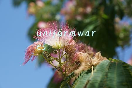 uniformwares在哪买(闷热夏日让人心浮气躁 不如来点简约系腕表静静心)