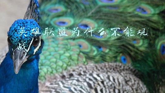 英雄联盟为什么不能观战匹配模式(LOL：自定义模式无法开启，网友：阻止宁王刷野竞速？)