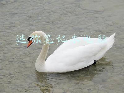 迷你笔记本电脑