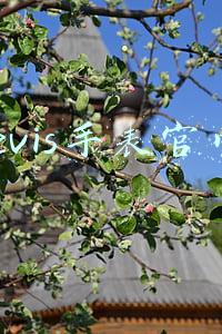 levis手表官网