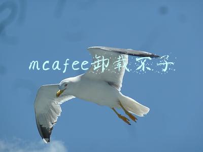 mcafee卸载不了