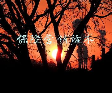 期交保险营销话术(双塔联社举办大型期交保险沙龙活动)