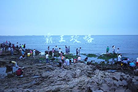 霸王攻略
