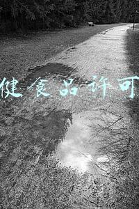 保健食品许可证经营范围(关于第四届中国国际进口博览会参展企业申请办理进口特殊食品产品临时许可等有关事项的公告)