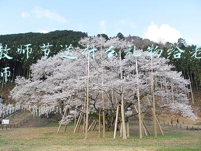 教师节送什么礼物给老师