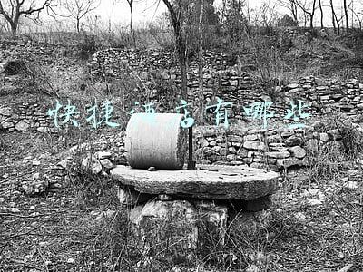 快捷酒店有哪些