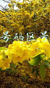电话号码区号查询
