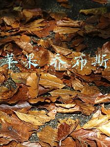 苹果乔布斯哪年走的(十年前的今天，乔布斯去世)