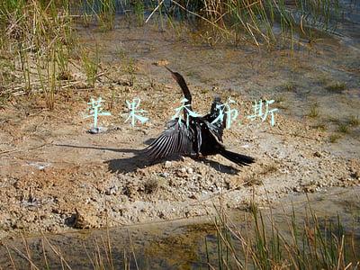 苹果乔布斯语录(「转载」乔布斯经典语录)