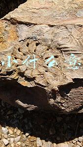 发小什么意思呀(你有“发小”吗)