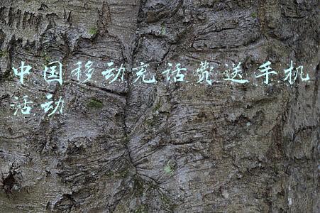 中国移动充话费送手机活动专区(中国移动用户有福了！年末大回馈，话费充100送15，仅限3天！)