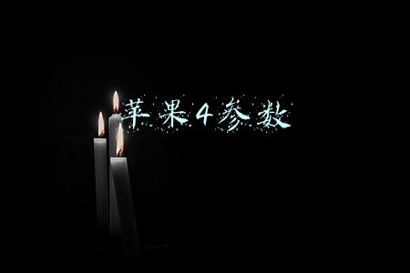 苹果4参数详细参数(十三不香了？iPhone 14配置完全曝光：外观性能全面升级)